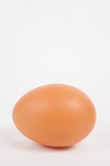 Single chicken egg  on white  paper background
