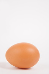 Single chicken egg  on white  paper background