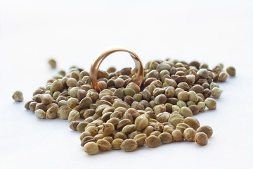 Hemp seeds and golden wedding ring