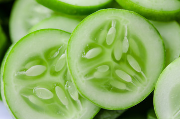 Cucumber