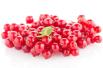 Red Currant