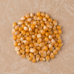 Circle of corn