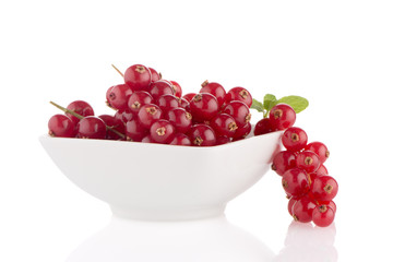 Red Currants