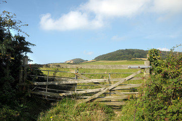 Fence on Dorset coastal path