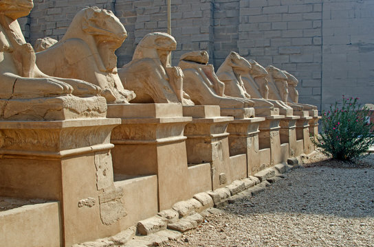 Avenue of  sphinxes in temple of Amun-Re  (Karnak, Luxor, Egypt)
