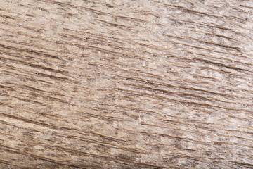 Natural scratched dark old wood (bog oak) texture as background.