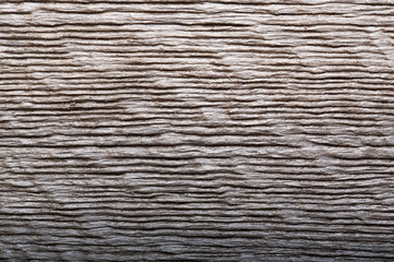 Dark wood background.