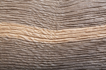 Fantastic texture from picture, made ​​by nature.