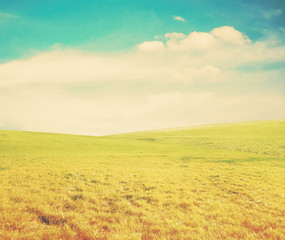 Fototapeta na wymiar summer fields, instagram retro style