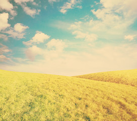 beautiful fields, instagram retro style