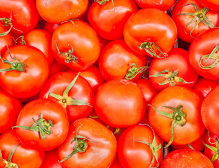 organic red tomatoes closeup at the local market