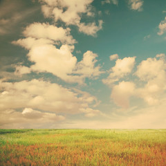 Fototapeta na wymiar sky and fields, instagram retro style