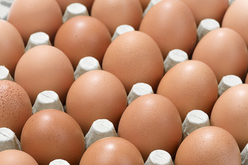 Brown organic eggs background