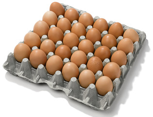 Cardboard egg box with thirty brown eggs isolated