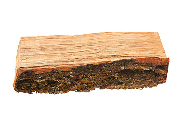Fototapeta premium Oak firewood piece