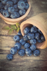 Blueberries in garden