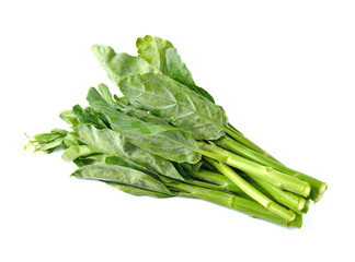 Chinese kale vegetable on white