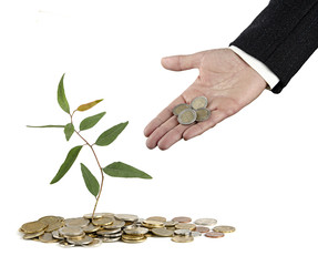 Investing to green business