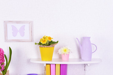 Flower on shelves on white wall background