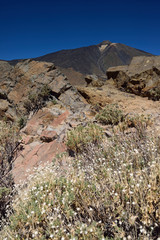 volcan