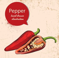 Red pepper illustration