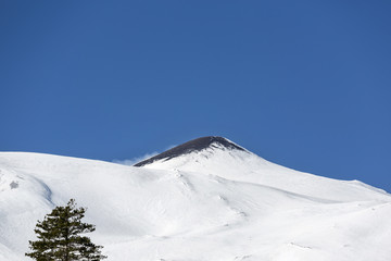 etna neve