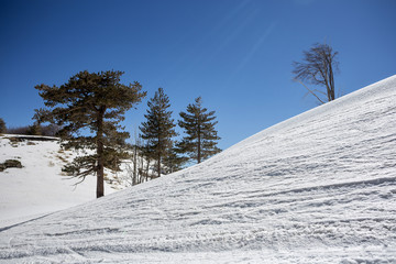 etna neve