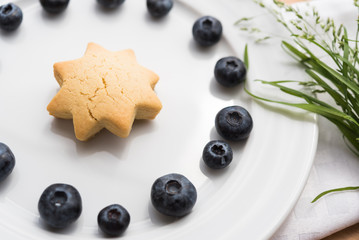 Plate with blueberry and cookie