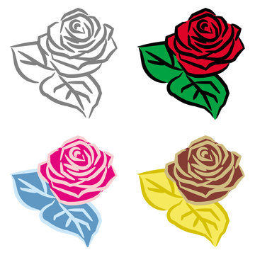 Rose 4 colors