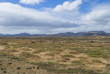 Fuerteventura, Canary Island, Spain