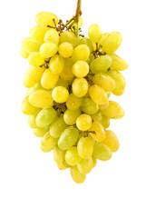 Isolated image of grapes on a white background
