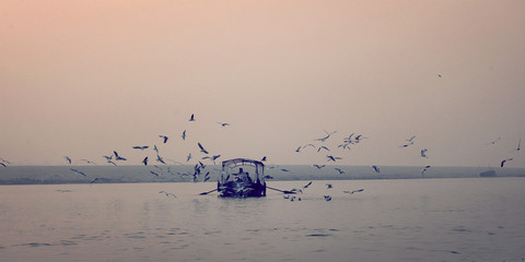 Birds circling around fishing boat at Ganga river vintage effect