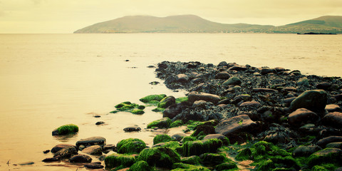 Rocky seascape with seaweeds in Waterville, County Kerry