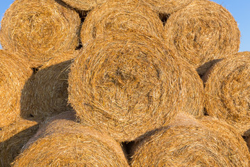 Piled hay bales on a field against blue sky