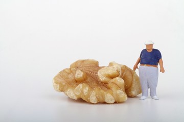 miniatura di uomo obeso e noce