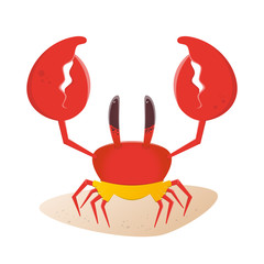 krabbe badehose lustig