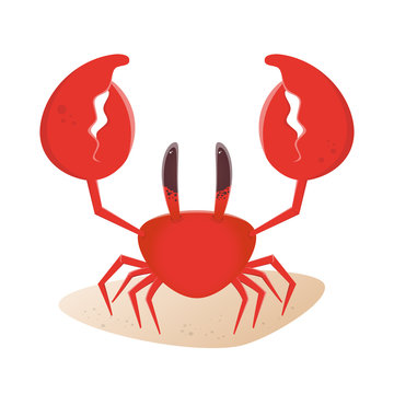 krabbe cartoon vektor