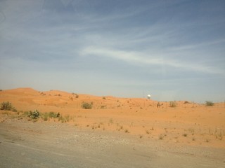 Desert and camels