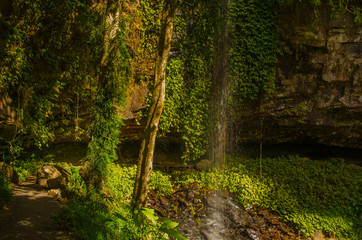 Wasserfall im Dorrigo National Park, Australien