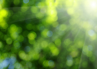 Fototapeta na wymiar Green blurred background