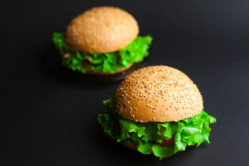 Homemade hamburger with fresh green lettuce, tomato and red onio