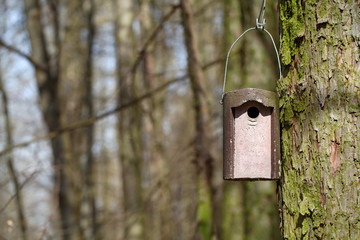 Vogelhaus und Nistkasten