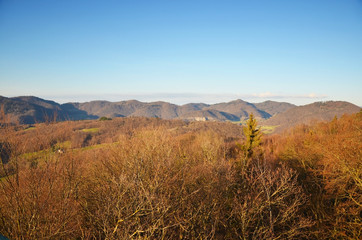 Dans les Terres-Froides