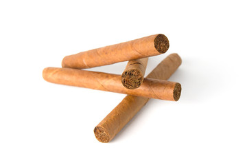 Cuban cigars on white background