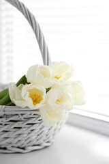 Fototapeta na wymiar White beautiful tulips in light interior