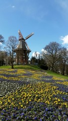 M&uuml;hle im Fr&uuml;hling am Bremer Wall