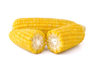 Boiled corn on white background