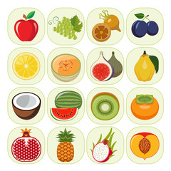 Set of different kinds of fruit icons.