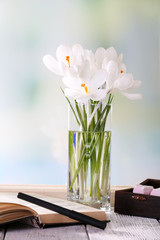 White crocus in vase on windowsill background