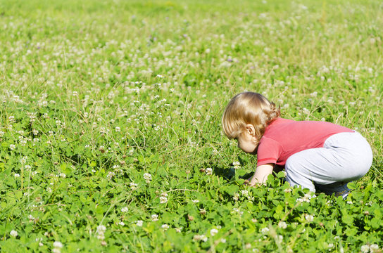 child playing in the field picking flowers
